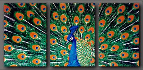 Dafen Oil Painting on canvas peafowl -set295